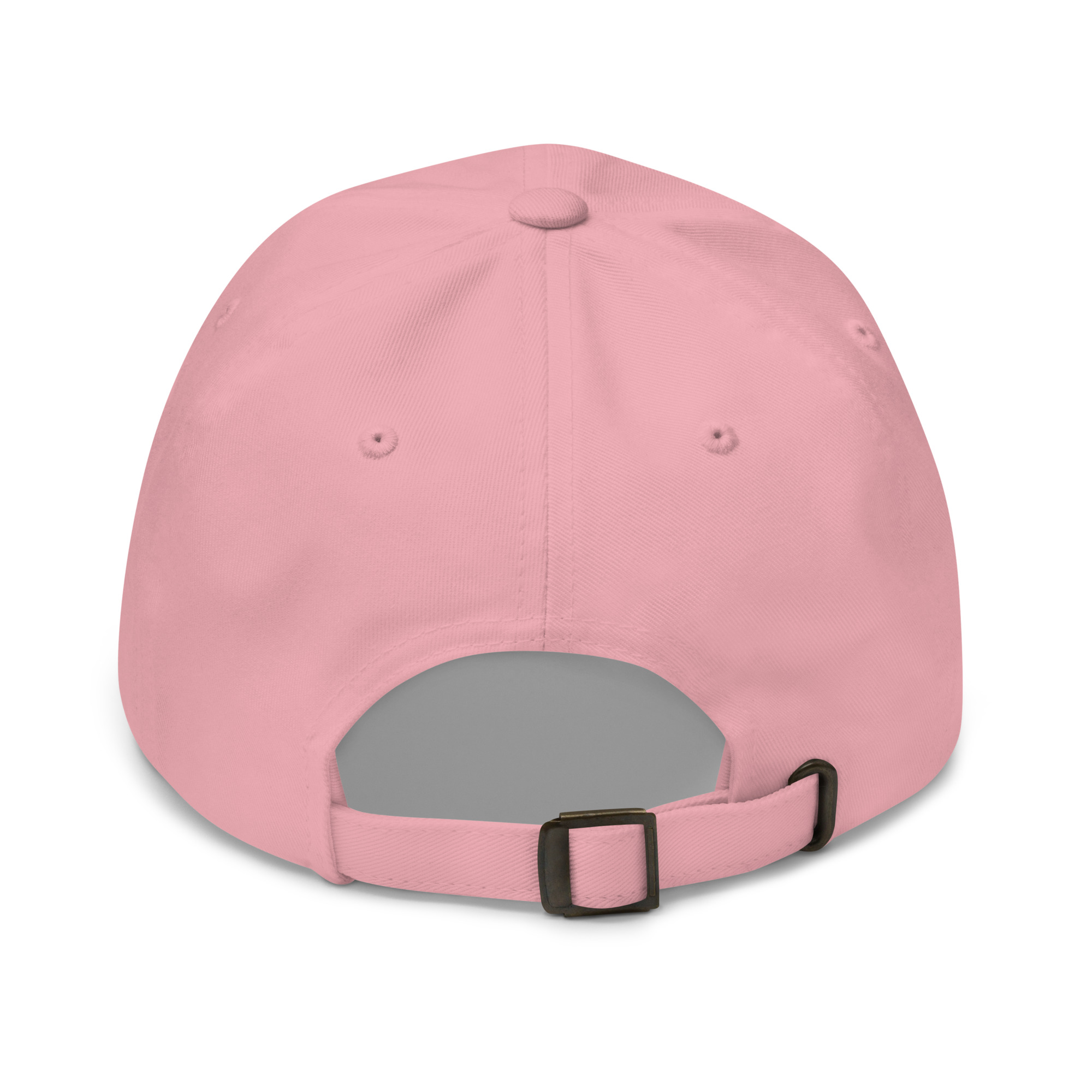 Bitcoin premium pink cap Satoshi 21M minimalist embroidered design adjustable hat